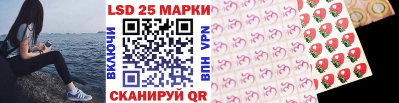Марки N-bome 1,5мг  Купить закладки  Теберда 
